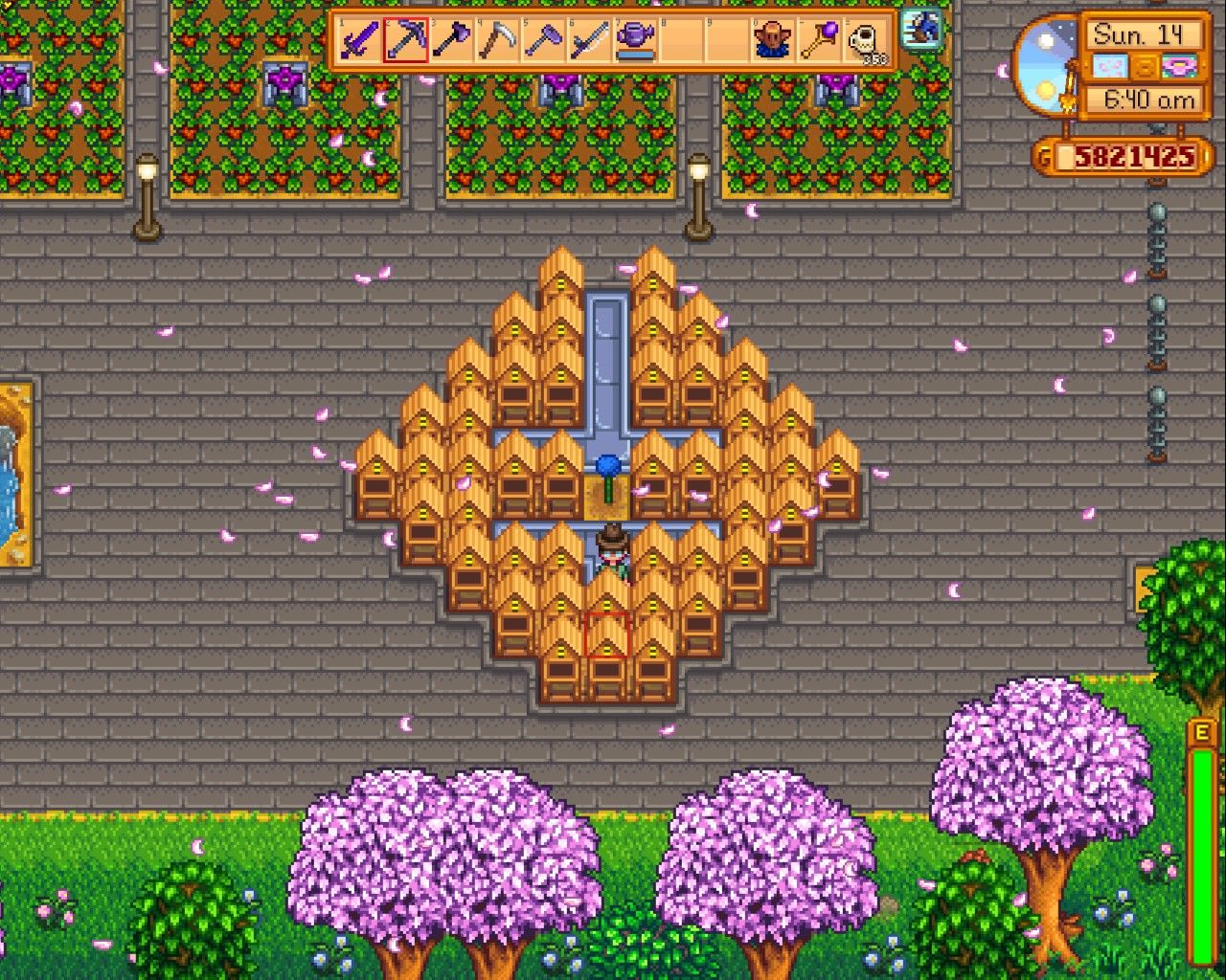 optimal layout for honey in stardew valley