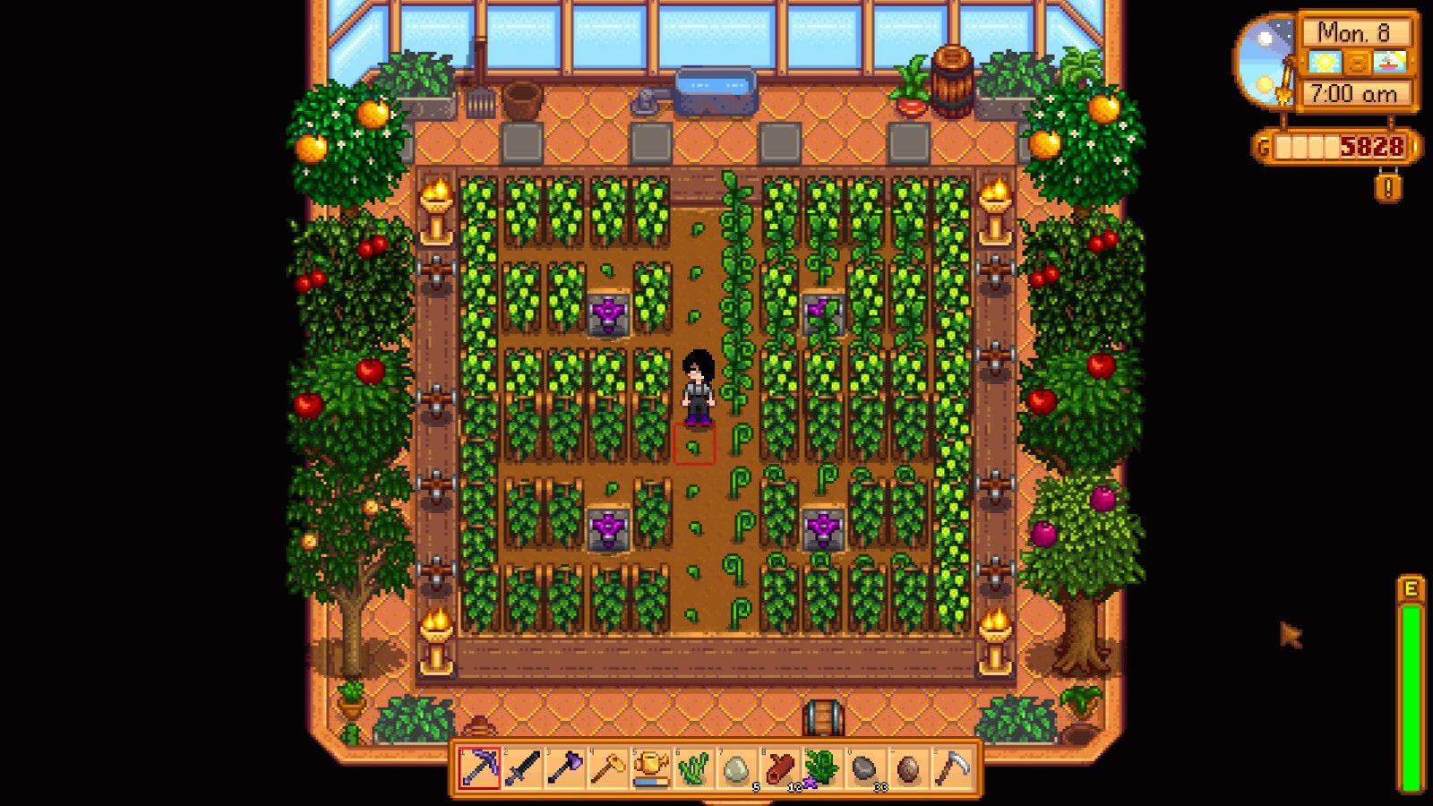 Simple Trellis Greenhouse